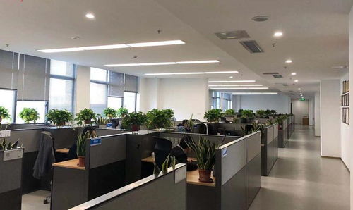 江苏省电子信息产品质量监督检验研究院与信息安全测评中心 专业信息咨询服务解析