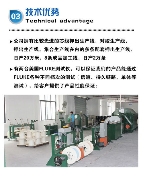 高效专业 东莞八芯网线生产工厂的快速发货与咨询服务