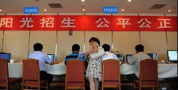 高招录取正式启动 石家庄市咨询服务站电话公布，助力考生获取关键信息